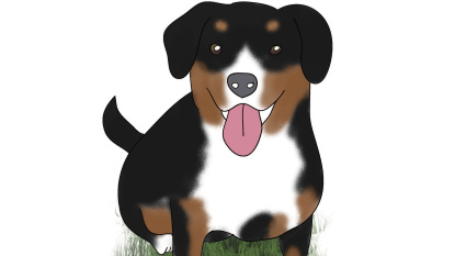Hund Hund
